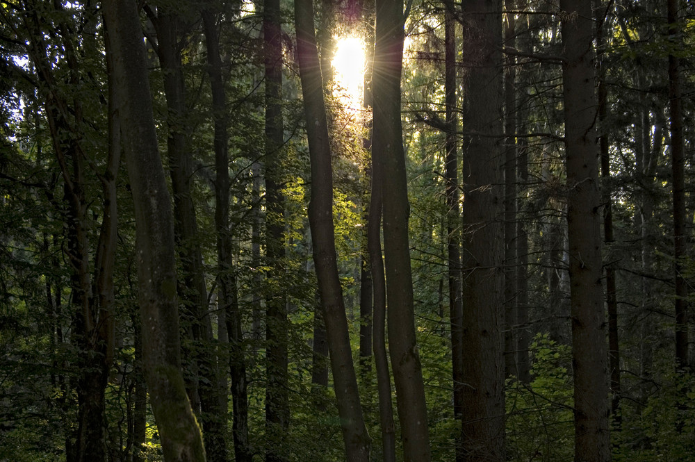 die Schatten werden länger