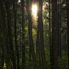 die Schatten werden länger