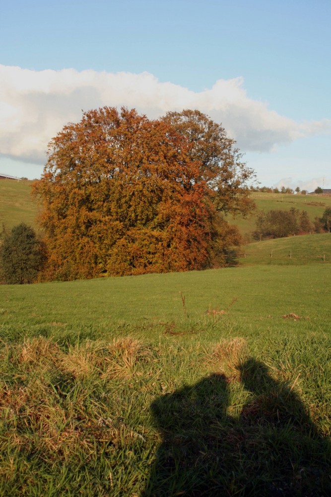 die Schatten werden länger