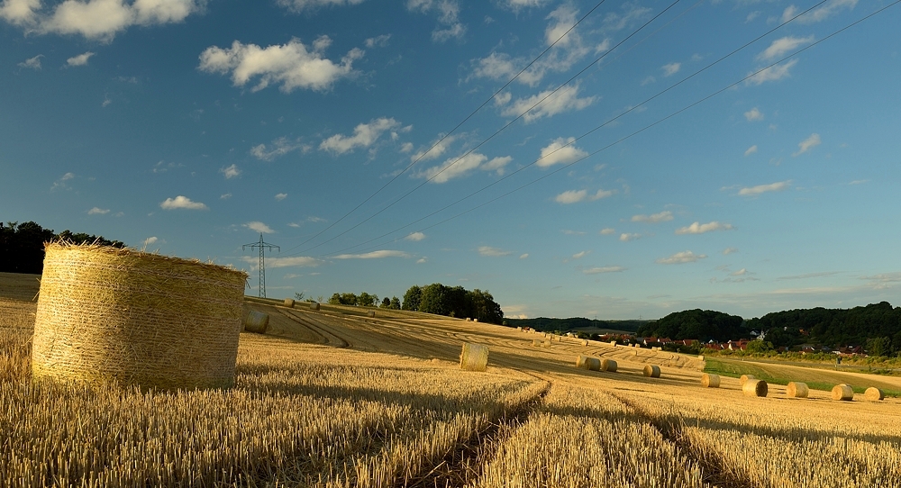 Die Schatten werden länger, die Tage immer kürzer. Rollen in der Abendsonne.