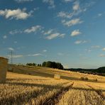 Die Schatten werden länger, die Tage immer kürzer. Rollen in der Abendsonne.