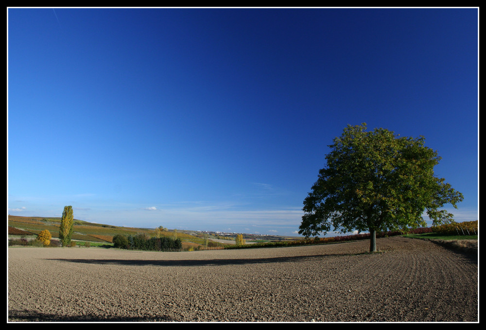 die Schatten werden länger