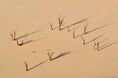 Die Schatten wurden kürzer im Dead Vlei