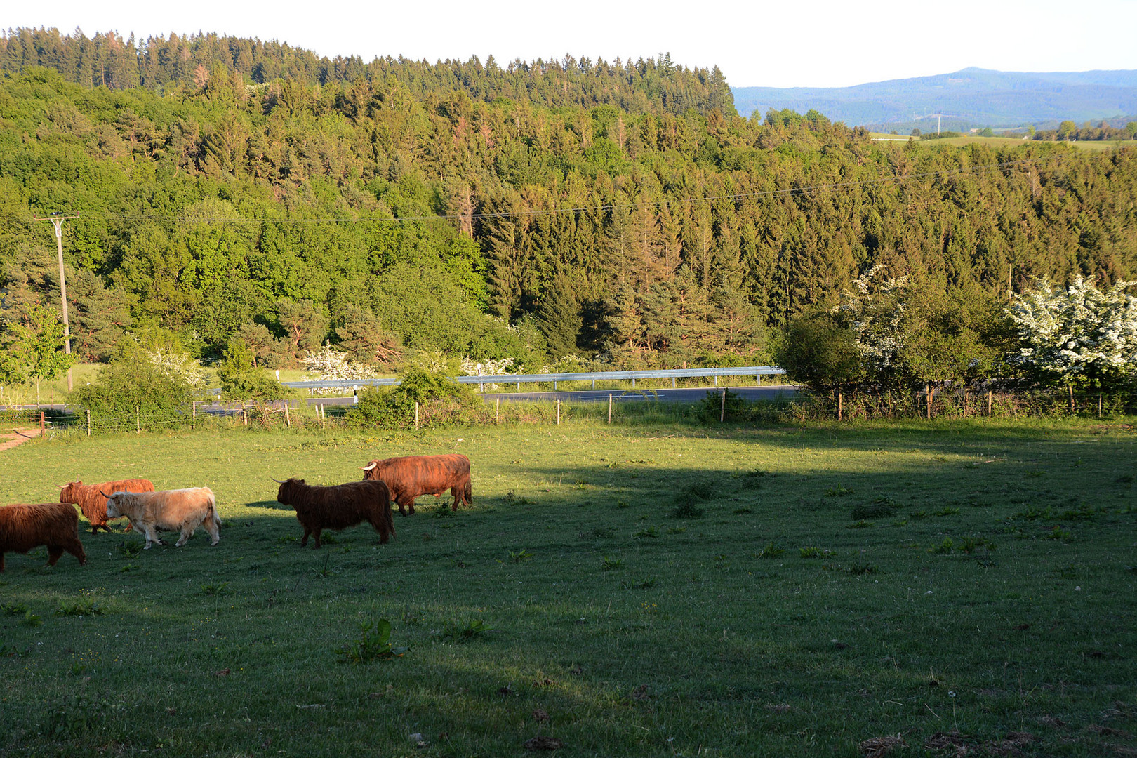 Die scheuen Fotoverhinderer