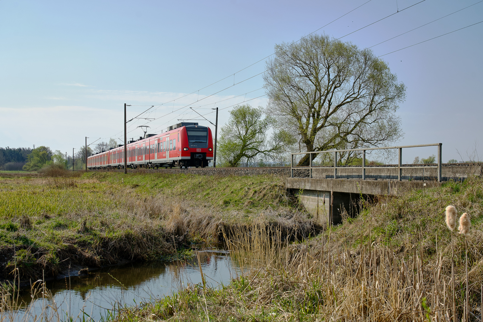 Die schiefen Weiden