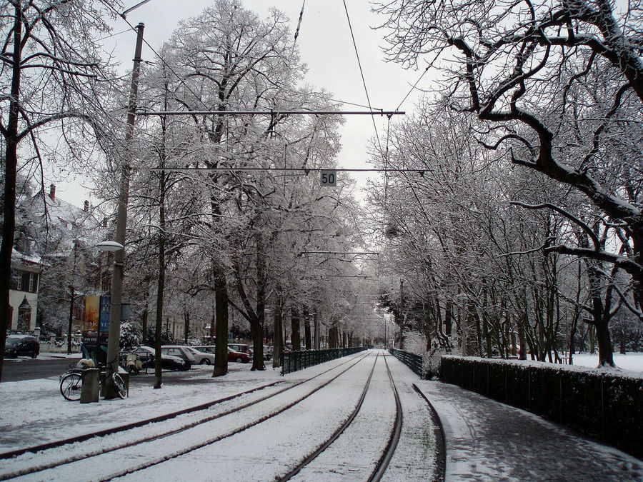 Die Schienen, die nach Hause bringen