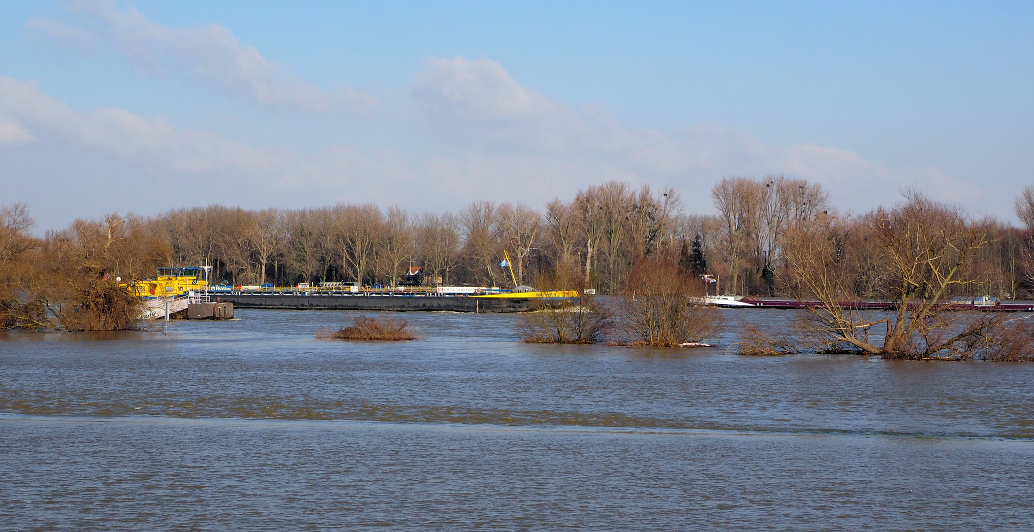 Die Schiffe fahren zwischen den Bäumen ... der Rhein ist aus seinem Bettchen ;) 