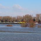 Die Schiffe fahren zwischen den Bäumen ... der Rhein ist aus seinem Bettchen ;) 