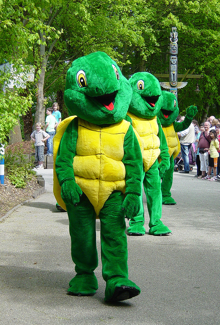 Die Schildkröten-Gang :)