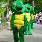 Die Schildkröten-Gang :)