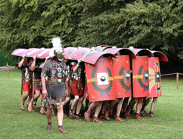 Die Schildkrötenformation