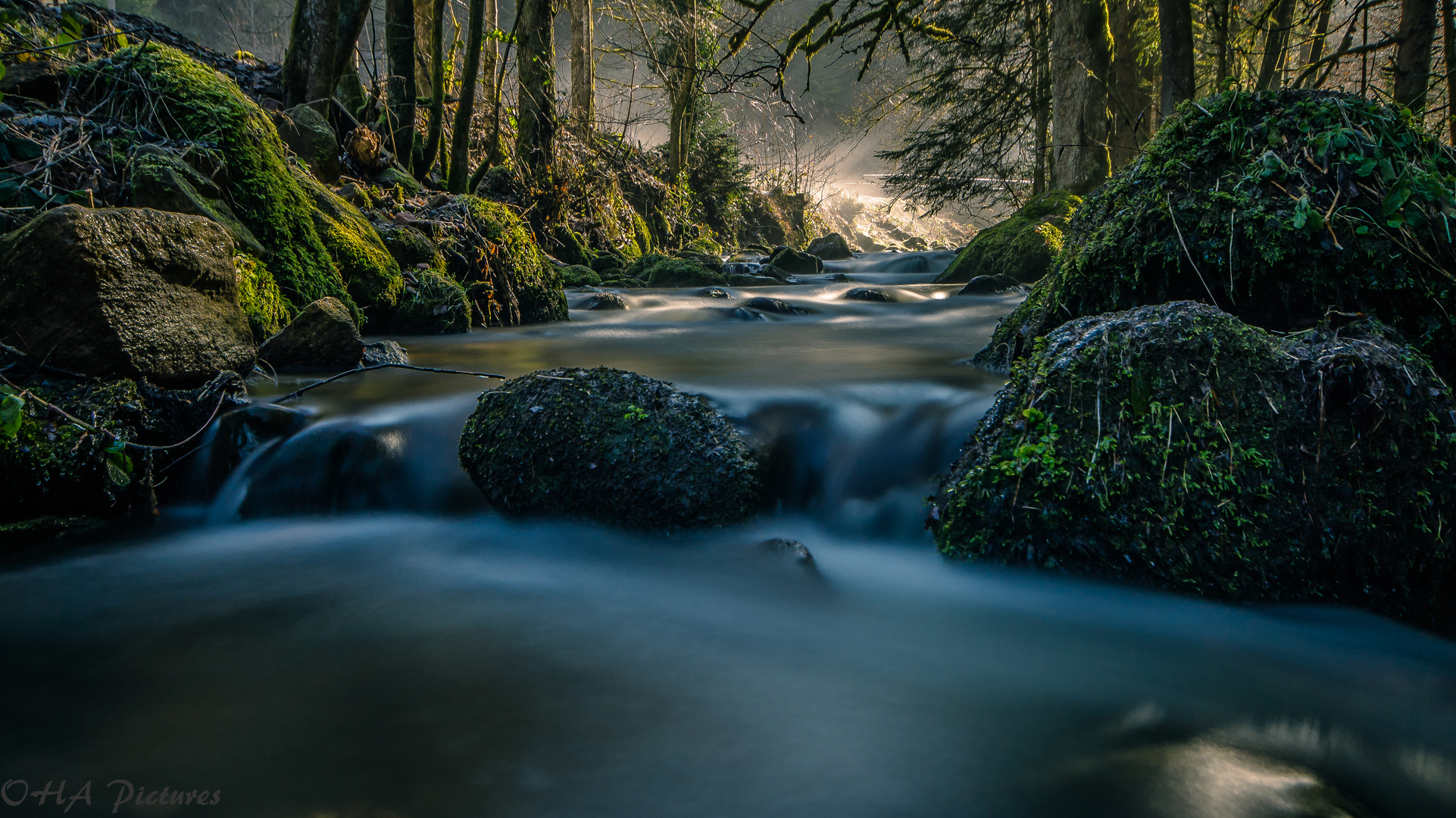 Die Schiltach Foto & Bild wald, wasser, grün Bilder auf