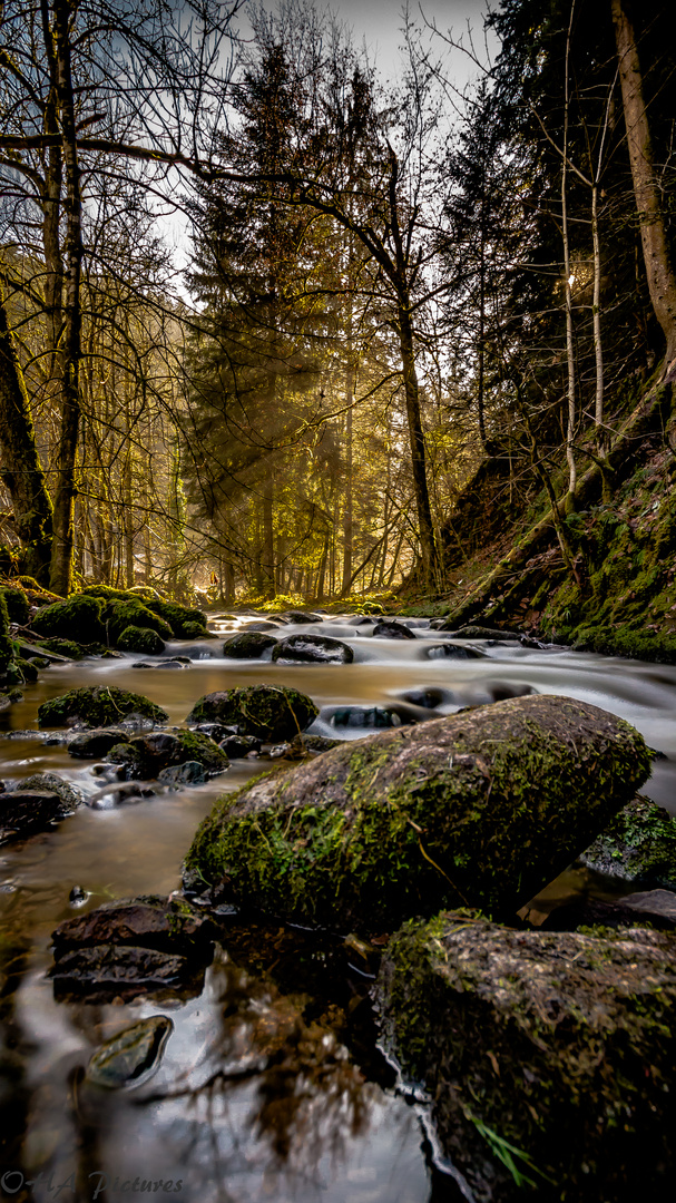 Die Schiltach im Hochformat