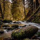 Die Schiltach im Hochformat