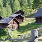 Die Schladminger Alm im Sattental (Österreich/Ennstal)