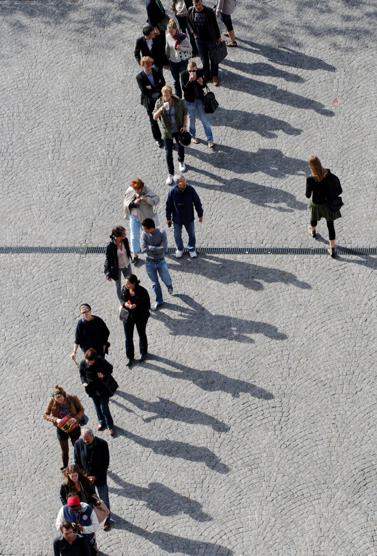 Die Schlange und das Kaninchen