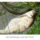 die Schlange und der Fisch