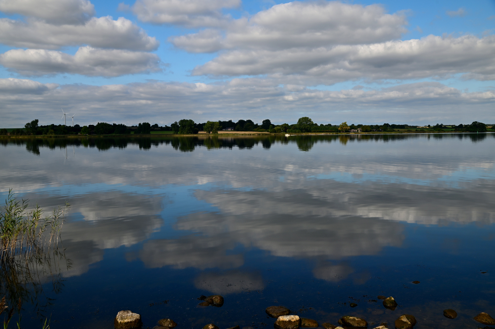 Die Schlei...