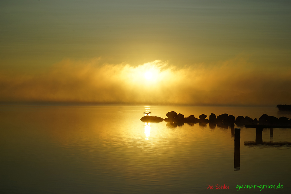 Die Schlei bei Haithabu. 