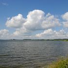 Die Schlei