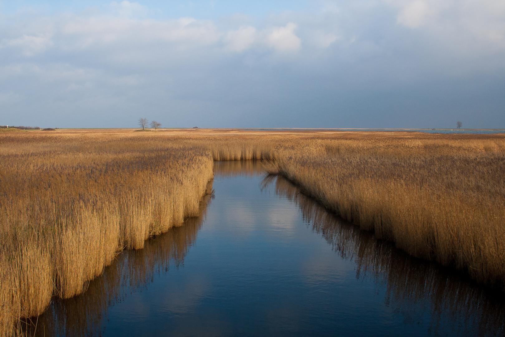 Die Schlei im Dezember