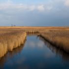 Die Schlei im Dezember