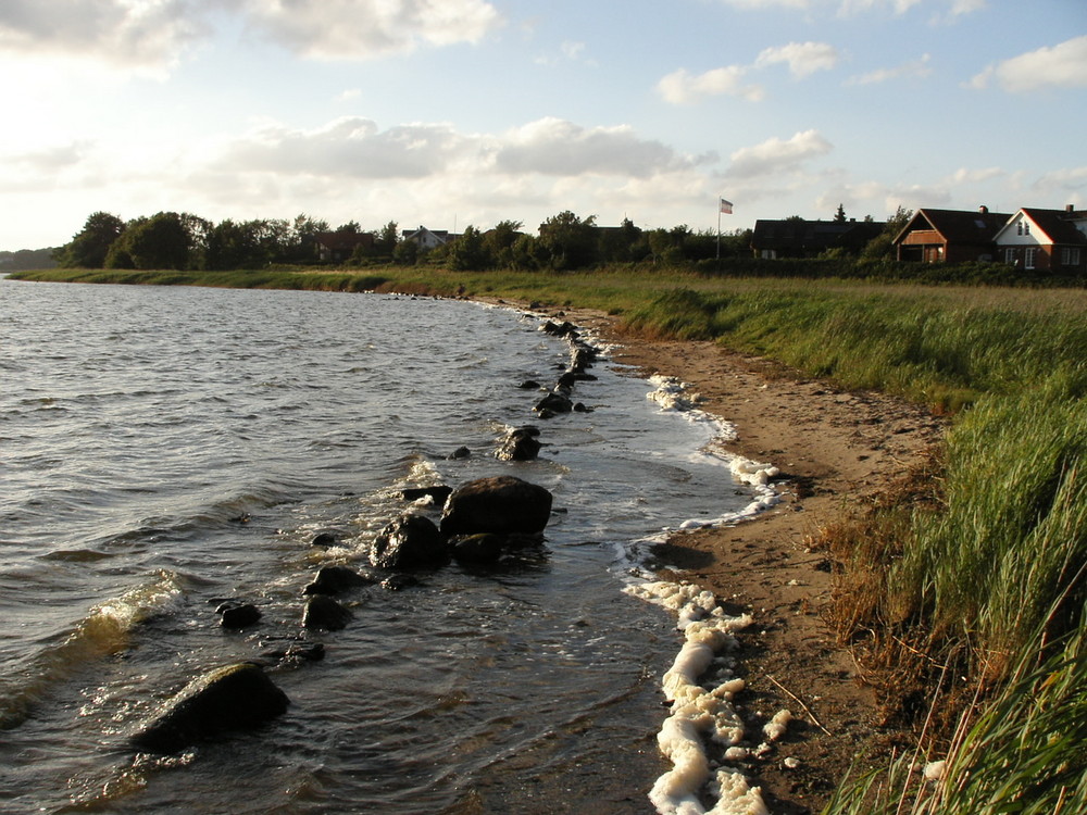 Die Schlei - Ufer