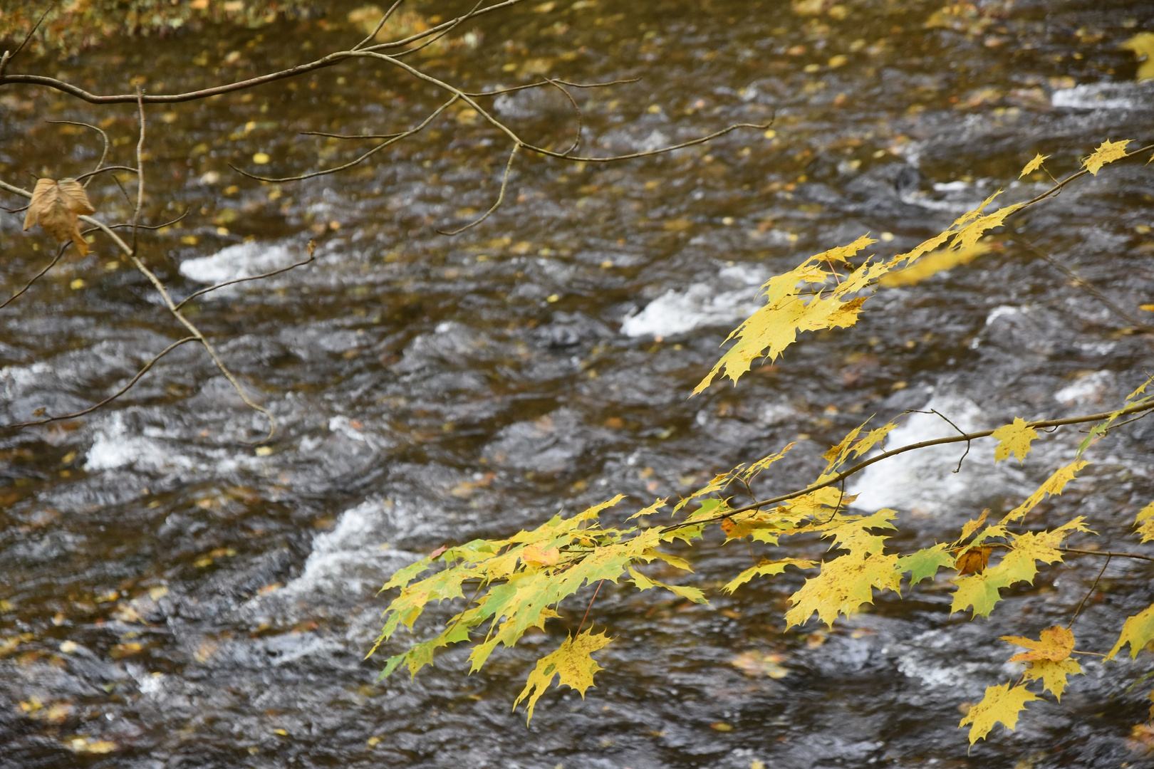 Die Schlichtheit der Natur