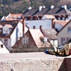 Die Schlösser in Heidelberg