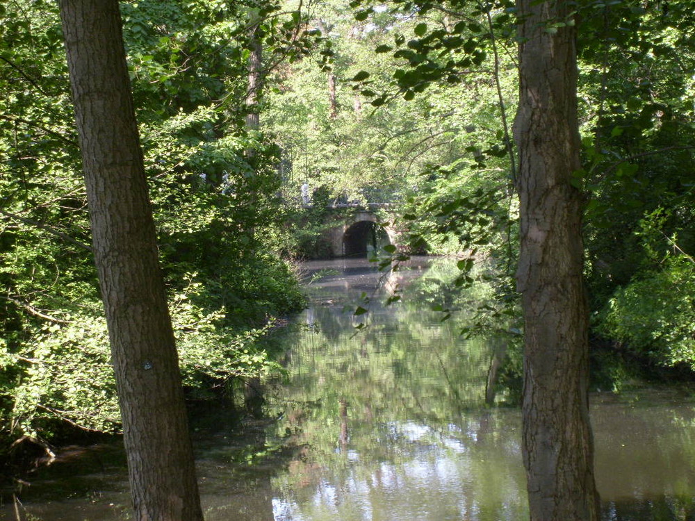 Die Schloßgräfte in Münster