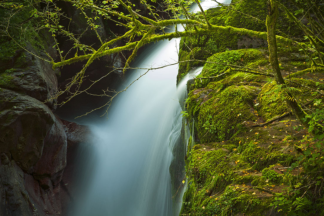 Die Schlucht