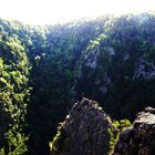 Die Schlucht beim Hexentanzplatz im Harz