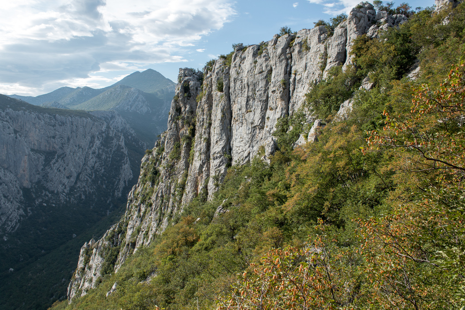 Die Schlucht