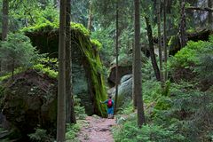 Die Schlucht zum Frienstein