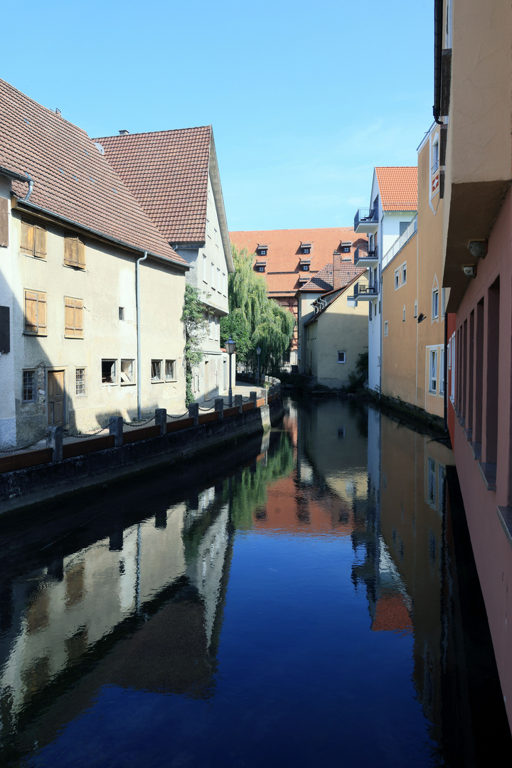 die Schmiech in Ehingen an der Donau