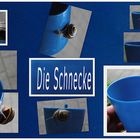 Die Schnecke