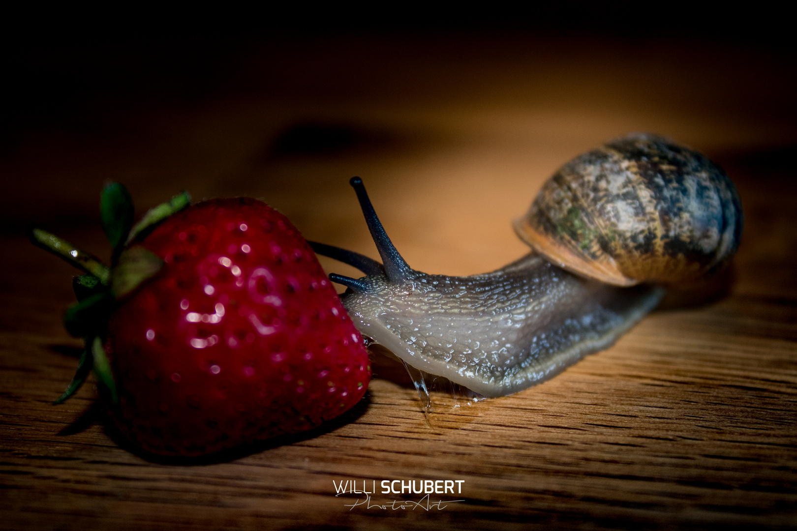 Die Schnecke und die Erdbeere