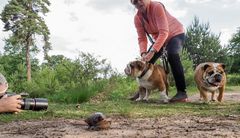 die schneckenfotografen......