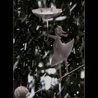 Die Schnee-Ballerina