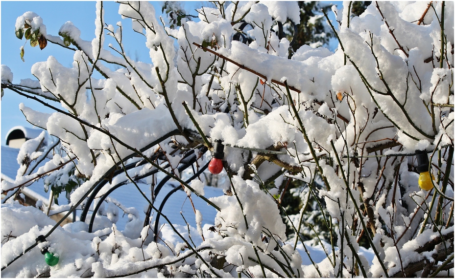 Die Schneeball-Party kann beginnen....