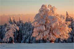 Die Schneebrüder