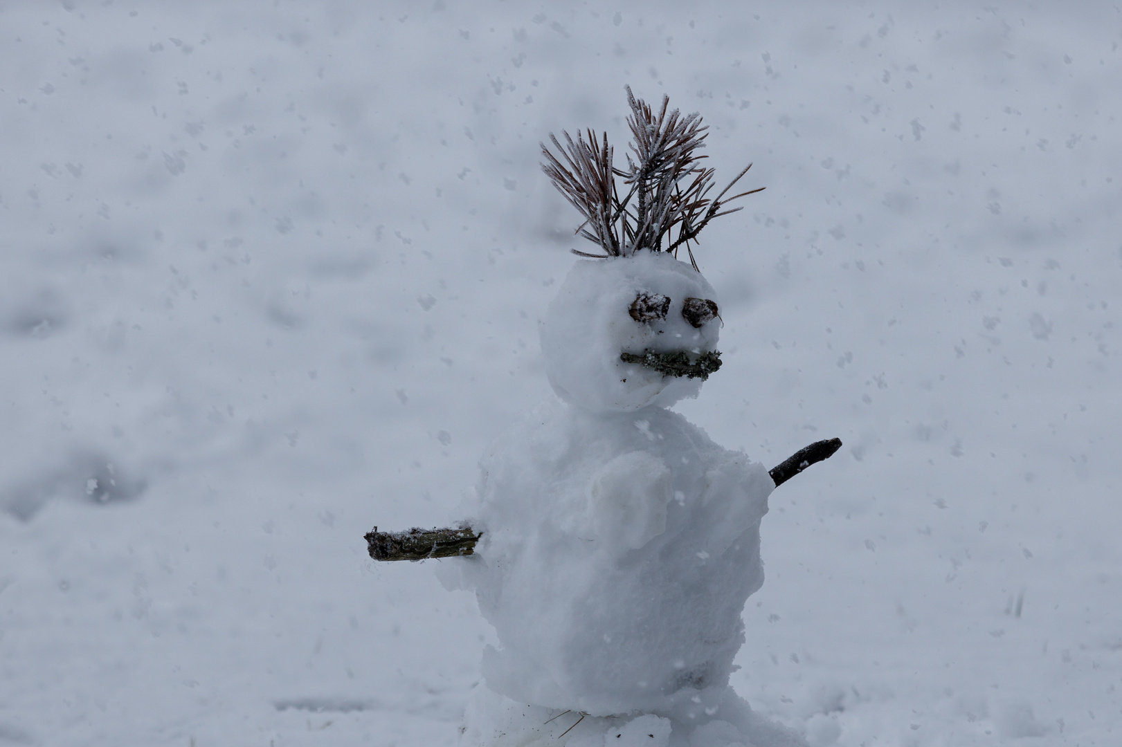 Die Schneedame im Schneefall