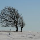 die Schneedecke ist noch dünn