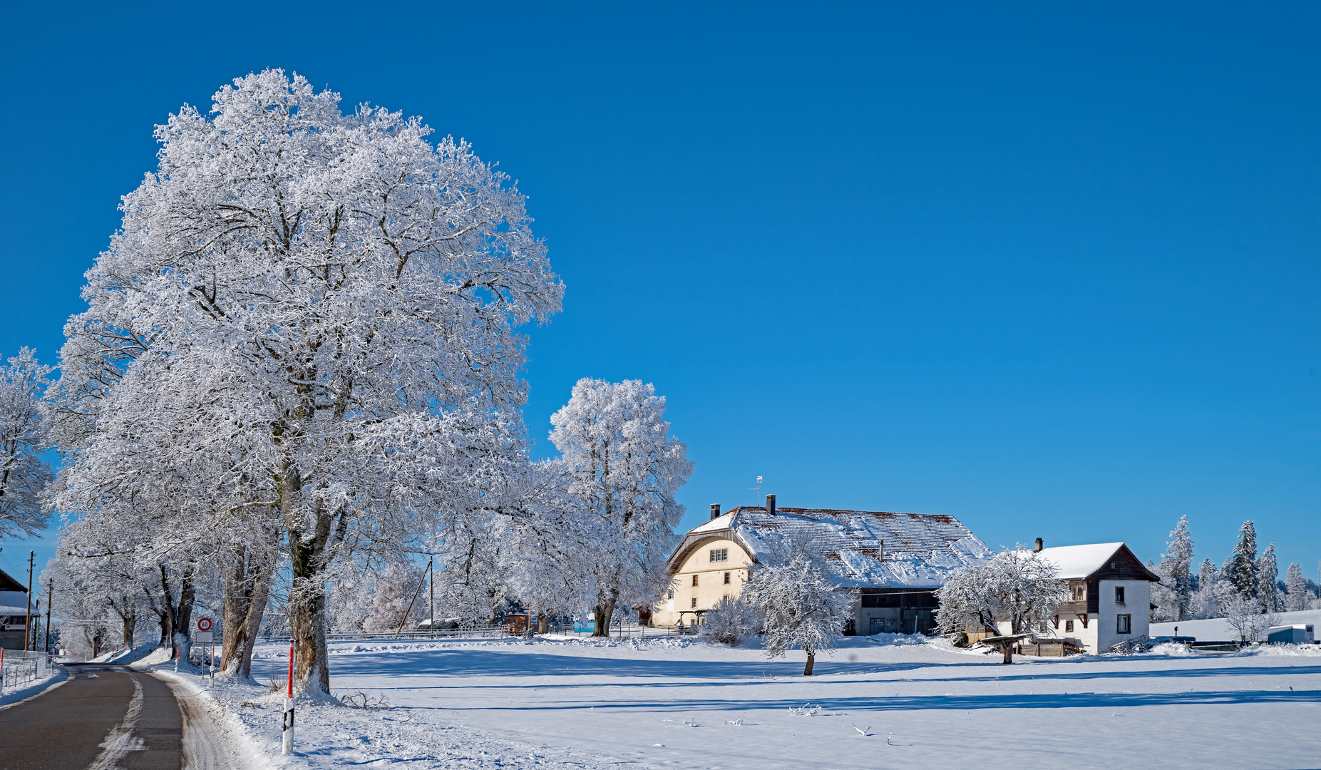 Die Schneefarm