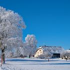 Die Schneefarm