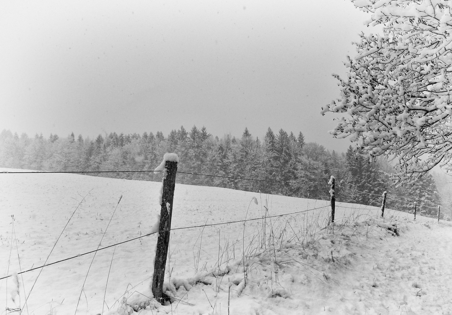 die Schneeflocken tanzen