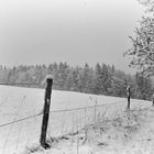 die Schneeflocken tanzen