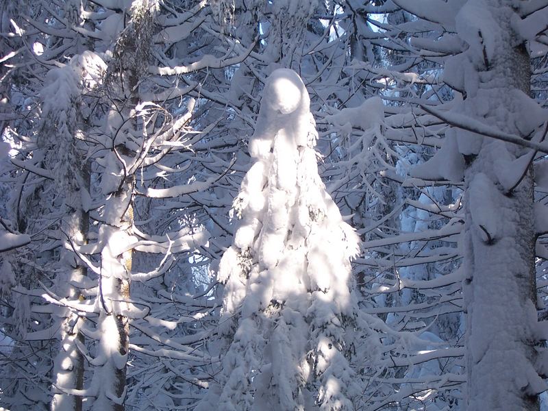 Die Schneefrau