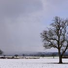 Die Schneefront naht