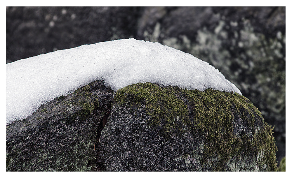 Die Schneehand